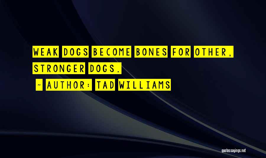 Dog Bones Quotes By Tad Williams