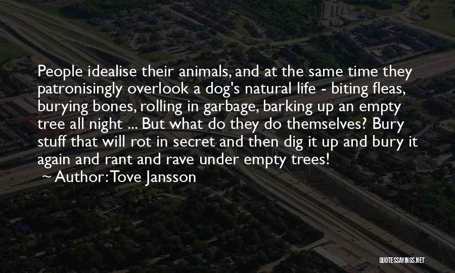 Dog Bones Quotes By Tove Jansson