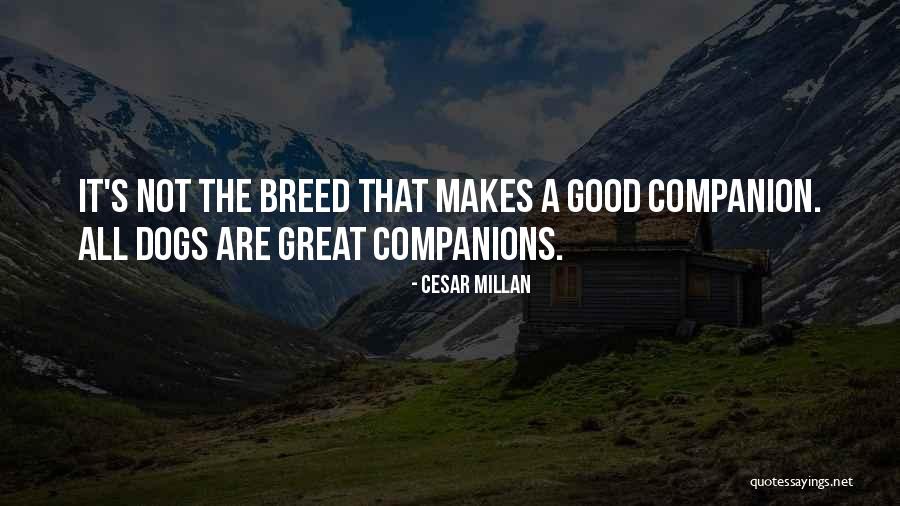 Dog Breed Quotes By Cesar Millan