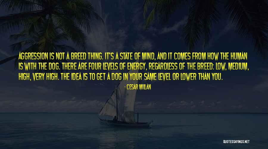 Dog Breed Quotes By Cesar Millan Dog Breed Quotes By Cesar Millan