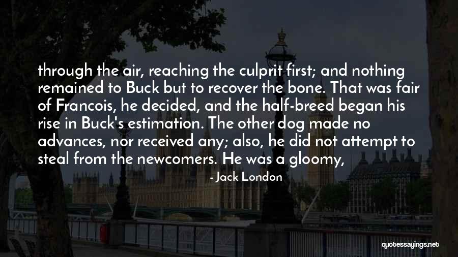 Dog Breed Quotes By Jack London