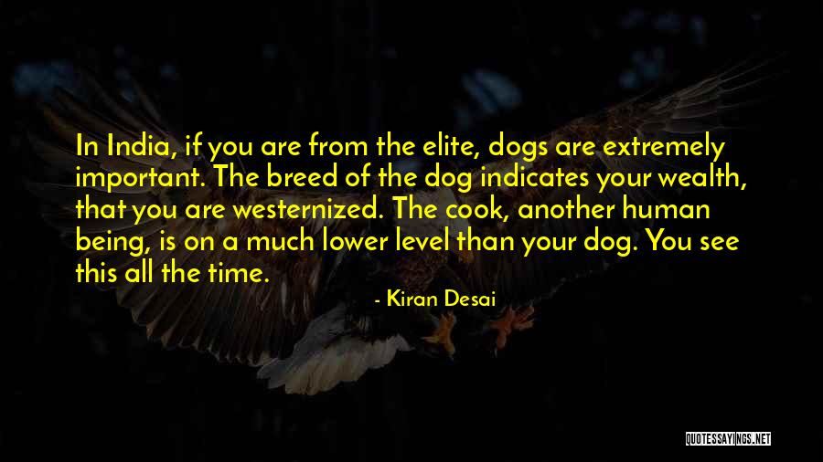 Dog Breed Quotes By Kiran Desai