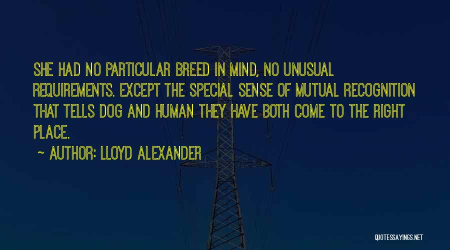 Dog Breed Quotes By Lloyd Alexander