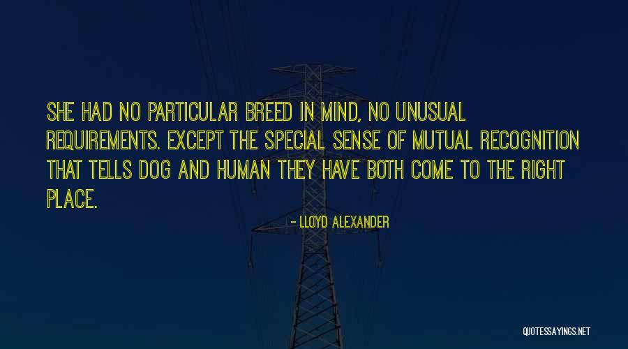 Dog Breed Quotes By Lloyd Alexander