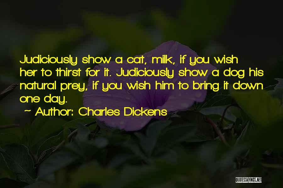 Dog Cat Quotes By Charles Dickens