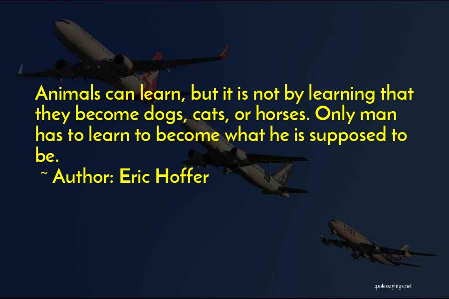 Dog Cat Quotes By Eric Hoffer