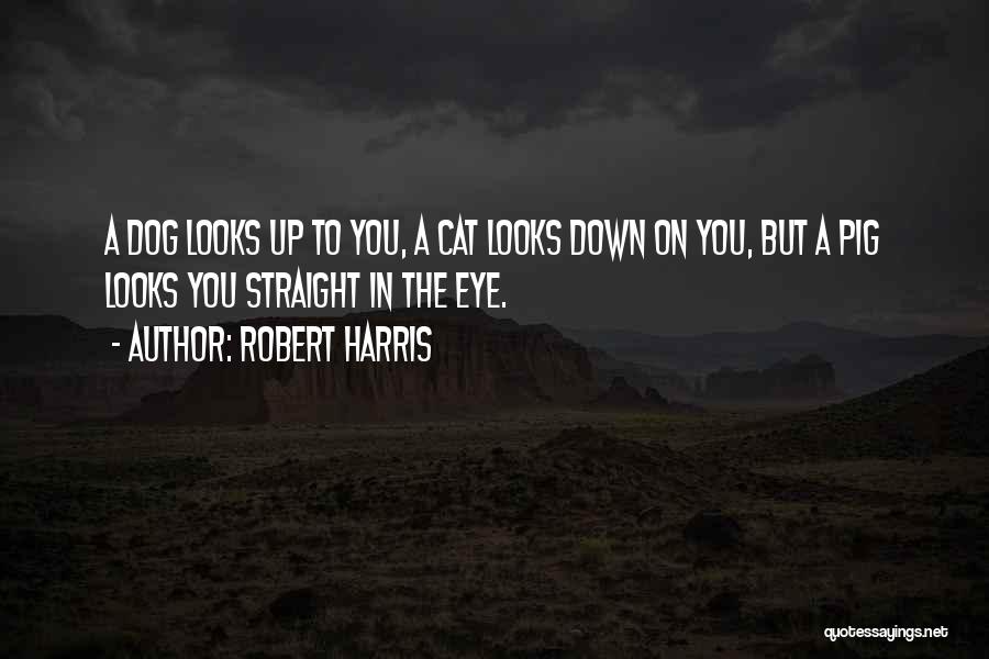 Dog Cat Quotes By Robert Harris