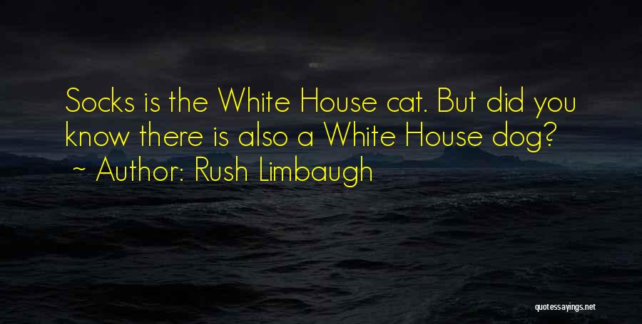 Dog Cat Quotes By Rush Limbaugh