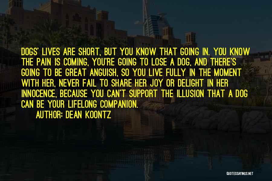 Dog Companion Quotes By Dean Koontz