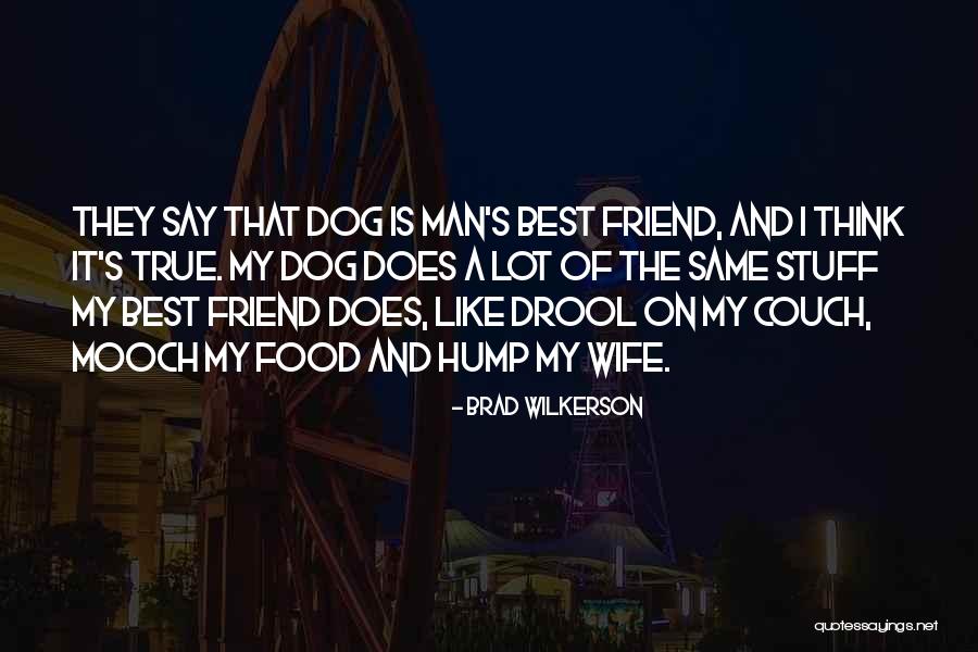 Dog Couch Quotes By Brad Wilkerson Dog Couch Quotes By Brad Wilkerson