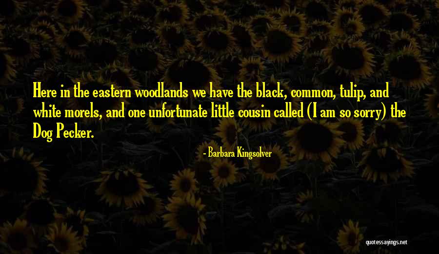 Dog Cousin Quotes By Barbara Kingsolver Dog Cousin Quotes By Barbara Kingsolver
