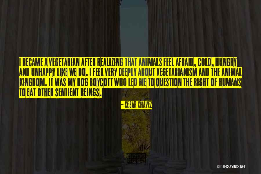 Dog Cruelty Quotes By Cesar Chavez Dog Cruelty Quotes By Cesar Chavez