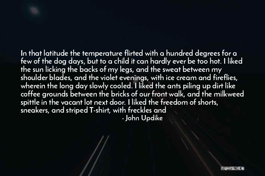 Dog Days Of Summer Quotes By John Updike Dog Days Of Summer Quotes By John Updike