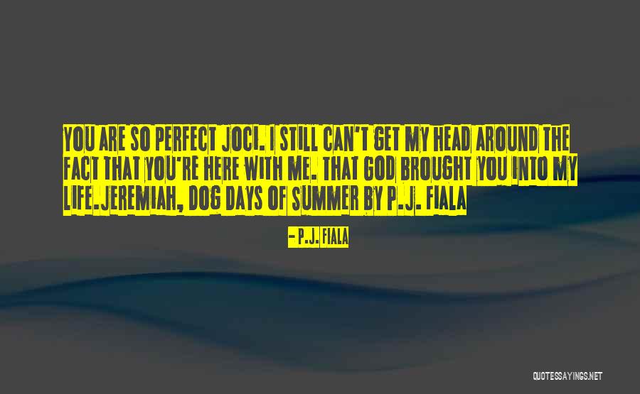 Dog Days Of Summer Quotes By P.J. Fiala Dog Days Of Summer Quotes By P.J. Fiala