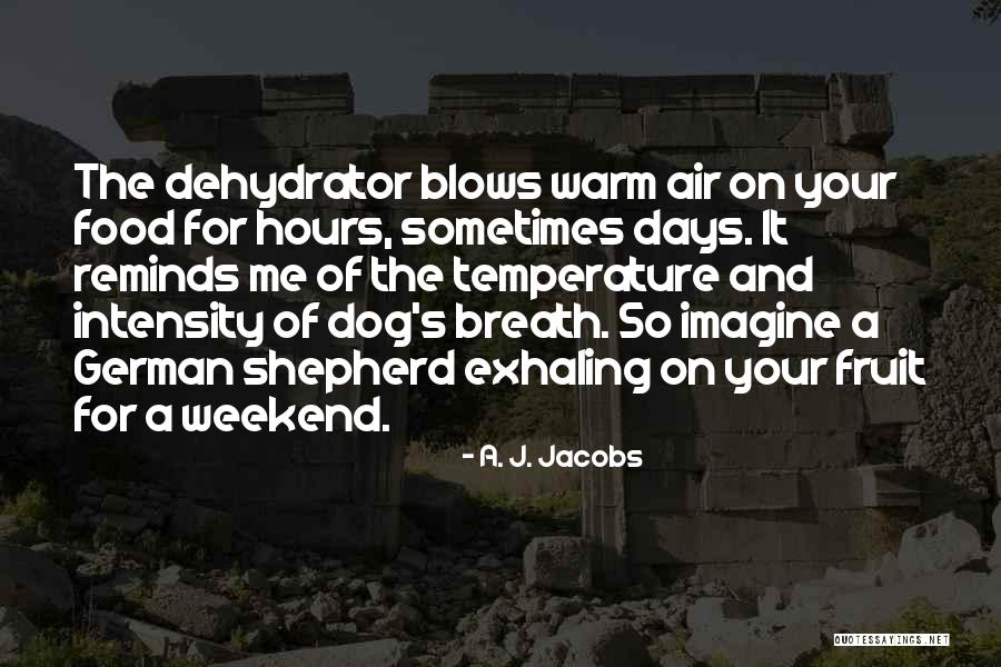 Dog Days Quotes By A. J. Jacobs Dog Days Quotes By A. J. Jacobs