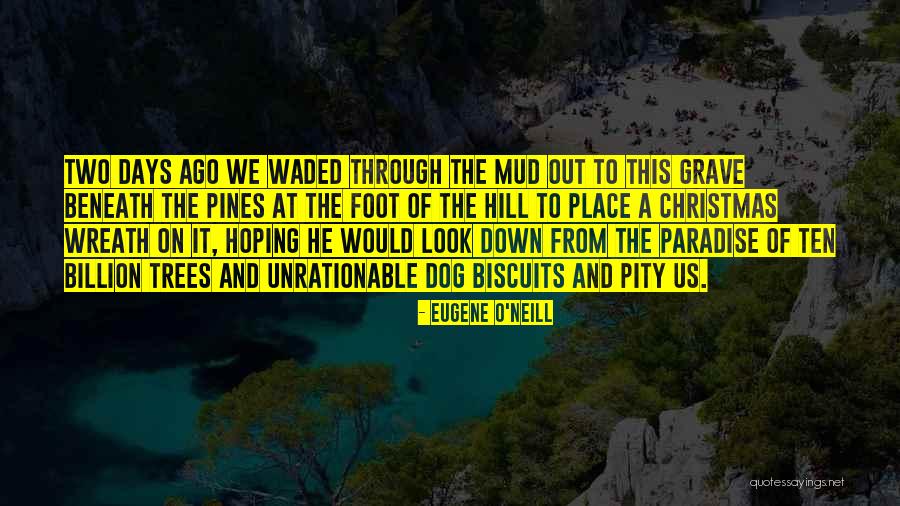 Dog Days Quotes By Eugene O'Neill Dog Days Quotes By Eugene O'Neill