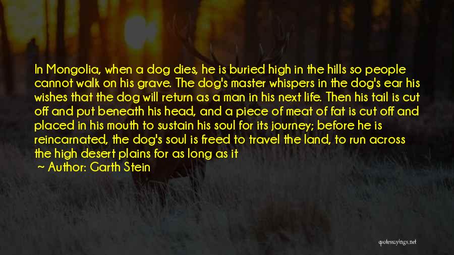 Dog Death Quotes By Garth Stein