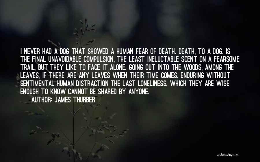 Dog Death Quotes By James Thurber