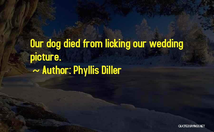 Dog Died Quotes By Phyllis Diller