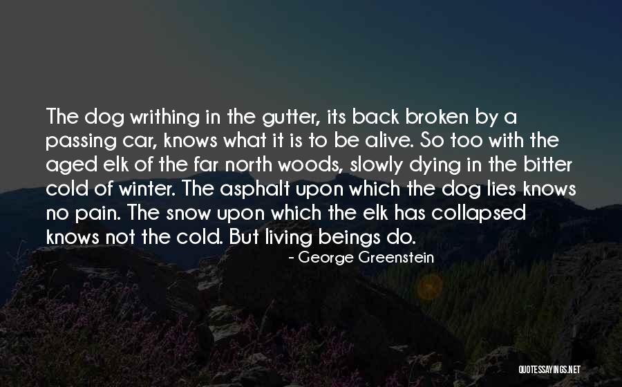 Dog Dying Quotes By George Greenstein