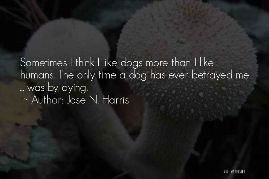 Dog Dying Quotes By Jose N. Harris