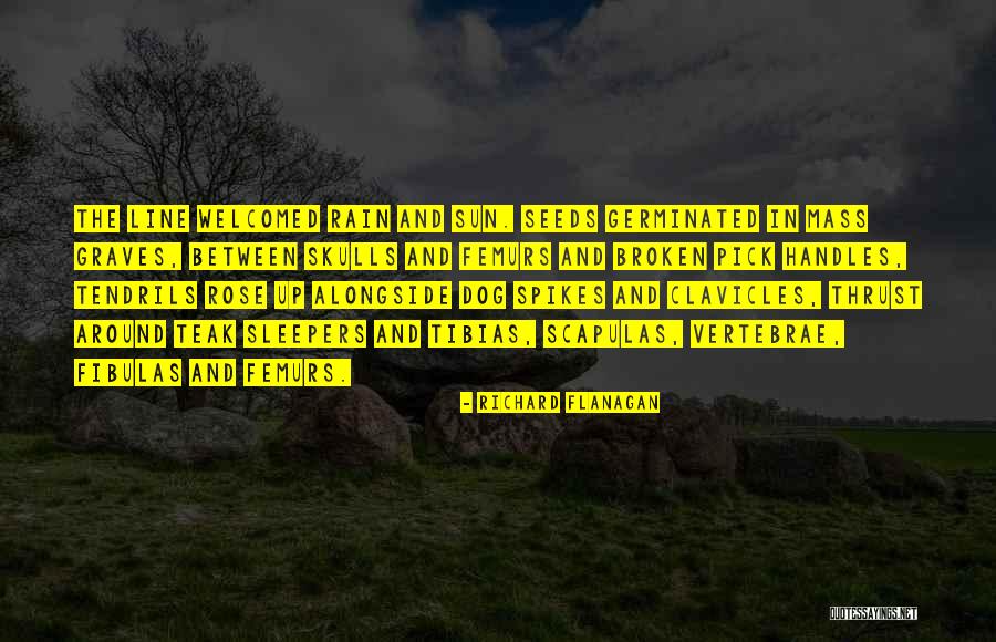 Dog Dying Quotes By Richard Flanagan Dog Dying Quotes By Richard Flanagan