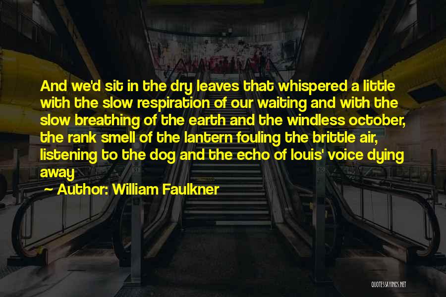 Dog Dying Quotes By William Faulkner