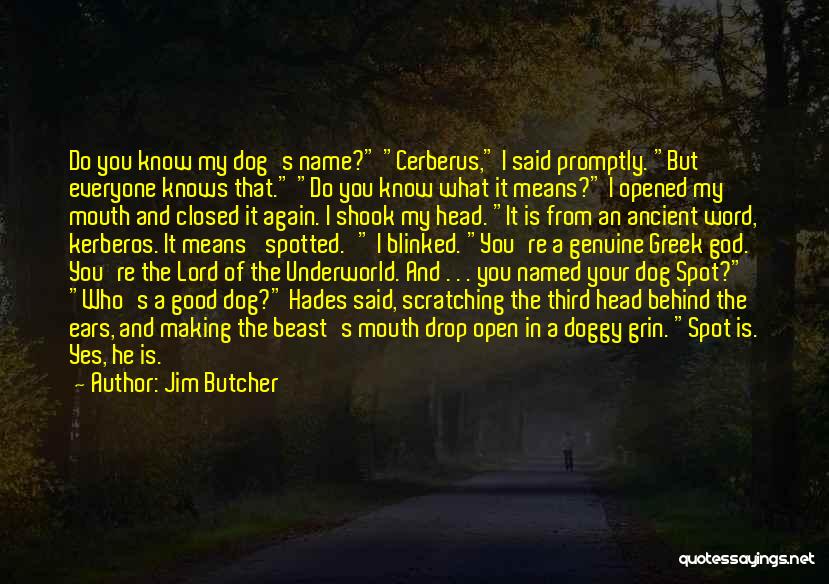 Dog Ears Quotes By Jim Butcher