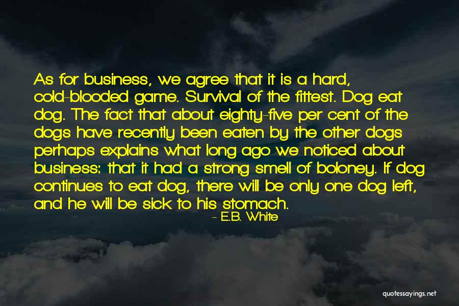 Dog Eat Dog Quotes By E.B. White Dog Eat Dog Quotes By E.B. White