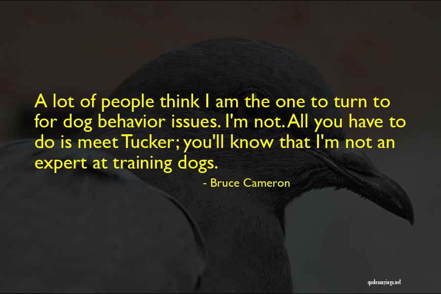 Dog Expert Quotes By Bruce Cameron Dog Expert Quotes By Bruce Cameron
