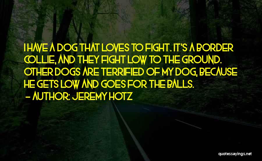 Dog Fighting Quotes By Jeremy Hotz