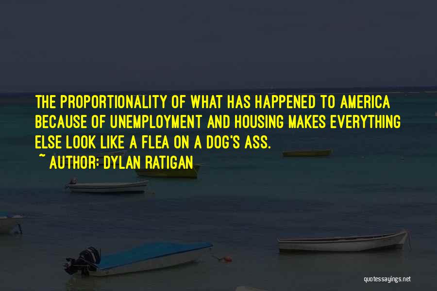 Dog Flea Quotes By Dylan Ratigan