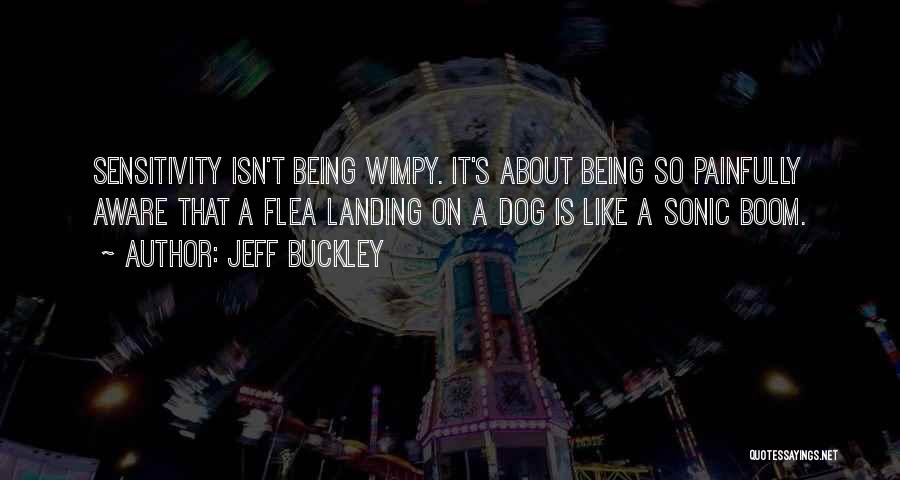 Dog Flea Quotes By Jeff Buckley