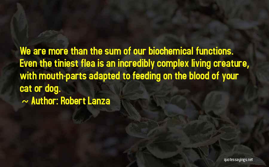 Dog Flea Quotes By Robert Lanza
