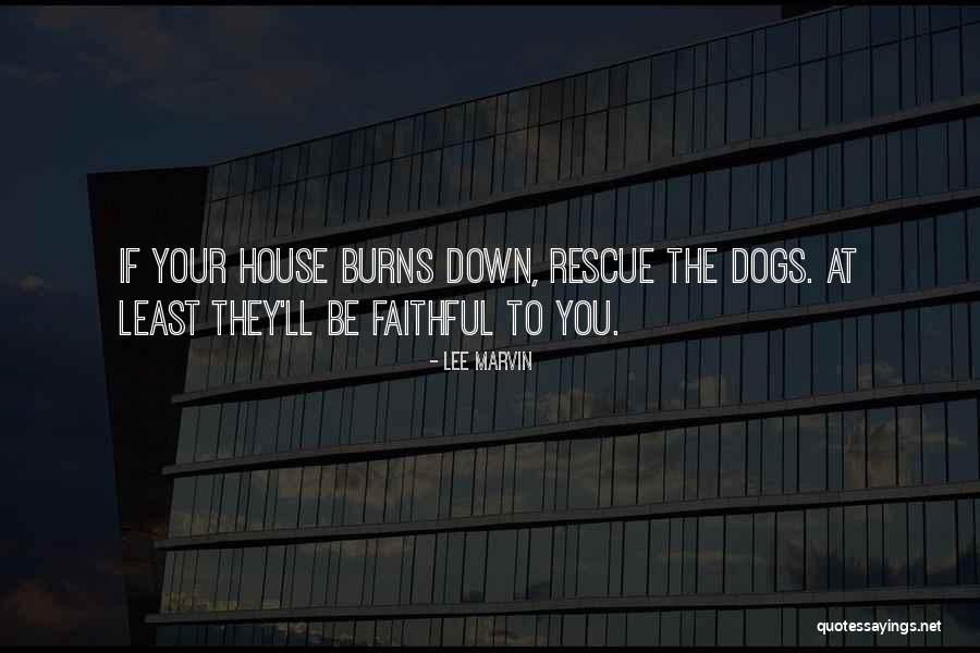 Dog Friendship Quotes By Lee Marvin Dog Friendship Quotes By Lee Marvin