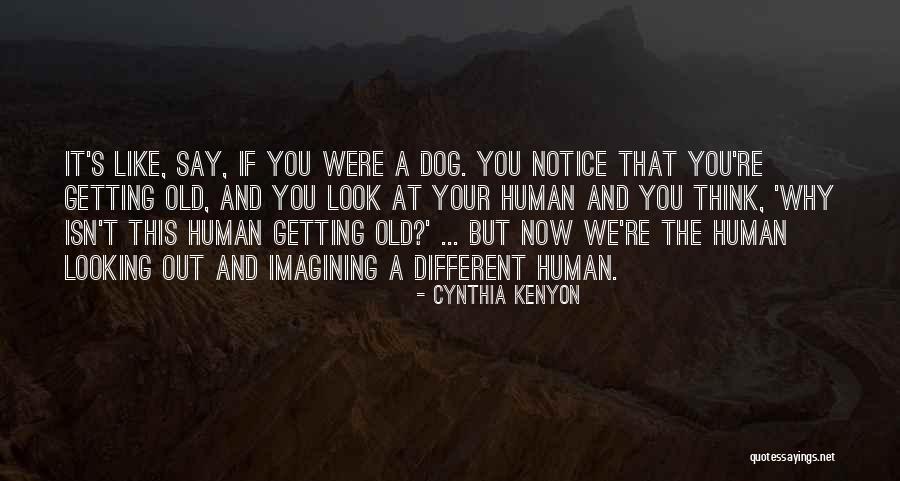 Dog Getting Old Quotes By Cynthia Kenyon