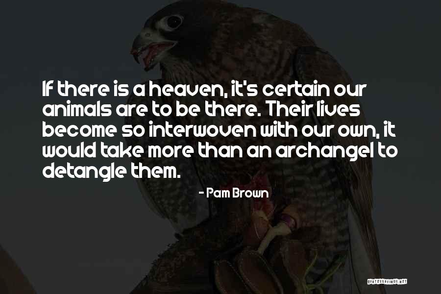Dog Gone To Heaven Quotes By Pam Brown Dog Gone To Heaven Quotes By Pam Brown