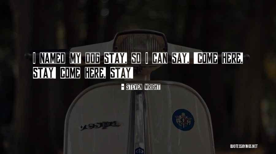 Dog Humor Quotes By Steven Wright Dog Humor Quotes By Steven Wright