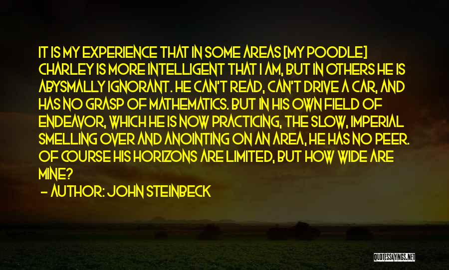 Dog In Car Quotes By John Steinbeck