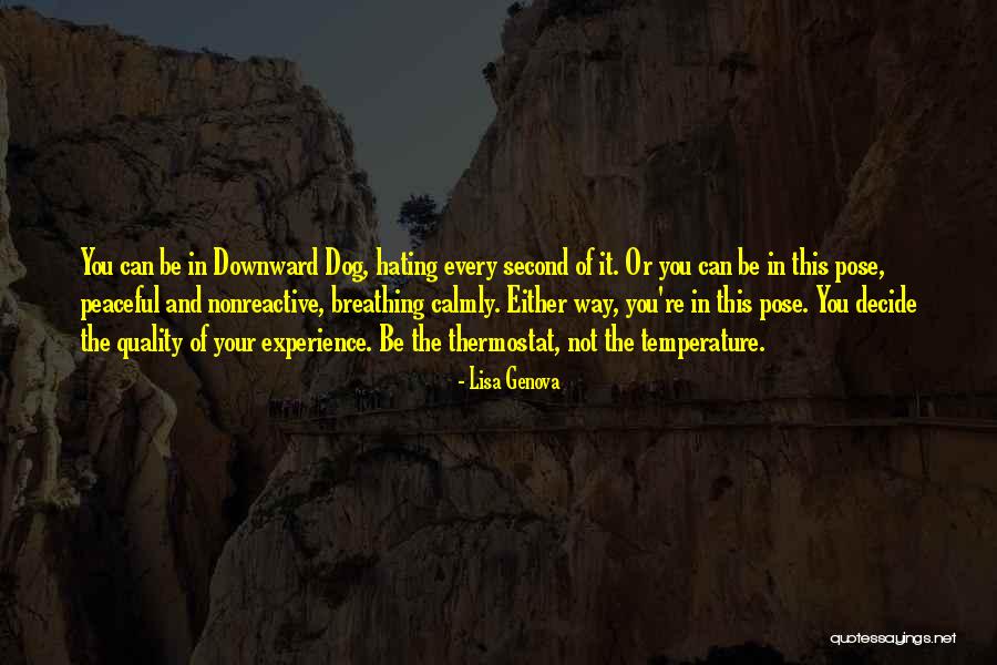 Dog Inspirational Quotes By Lisa Genova Dog Inspirational Quotes By Lisa Genova