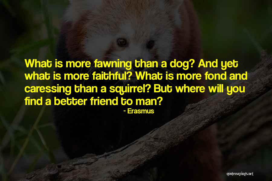 Dog Is A Man Best Friend Quotes By Erasmus Dog Is A Man Best Friend Quotes By Erasmus