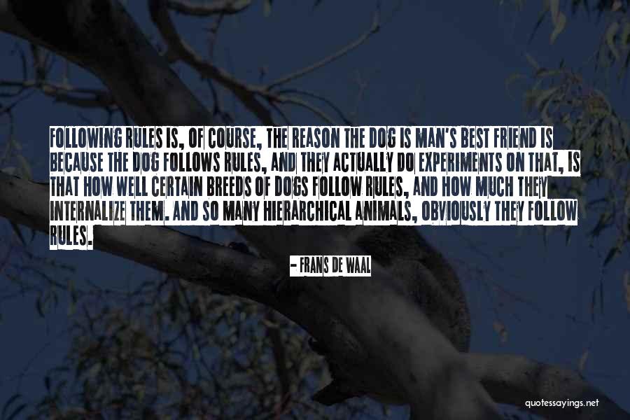 Dog Is A Man Best Friend Quotes By Frans De Waal Dog Is A Man Best Friend Quotes By Frans De Waal