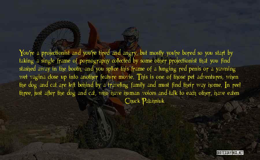 Dog Is Family Quotes By Chuck Palahniuk