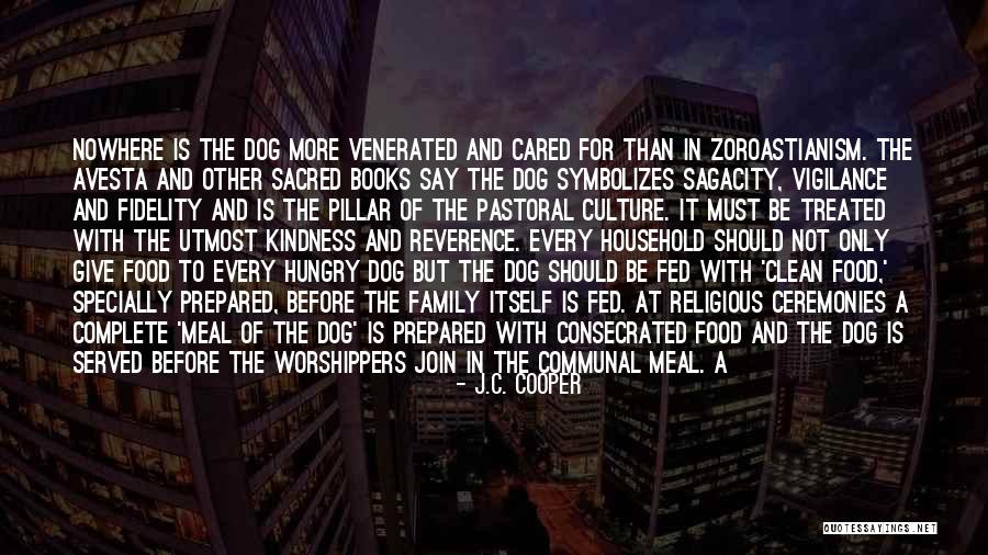 Dog Is Family Quotes By J.C. Cooper