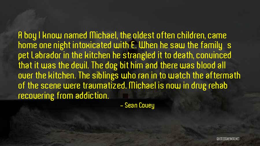 Dog Is Family Quotes By Sean Covey