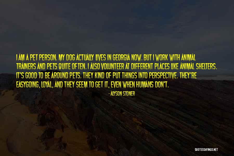 Dog Is Loyal Quotes By Alyson Stoner Dog Is Loyal Quotes By Alyson Stoner