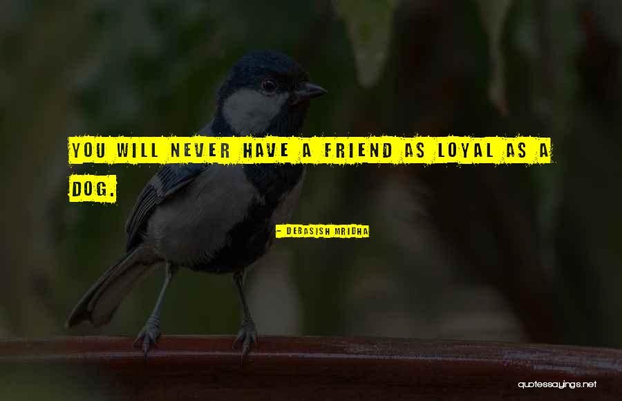 Dog Is Loyal Quotes By Debasish Mridha Dog Is Loyal Quotes By Debasish Mridha