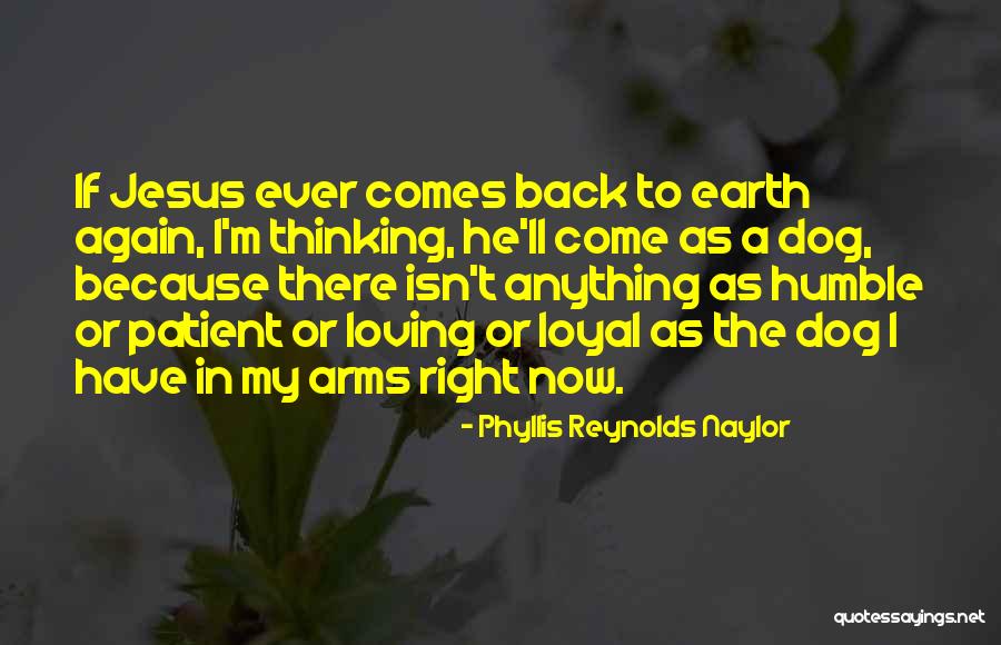 Dog Is Loyal Quotes By Phyllis Reynolds Naylor Dog Is Loyal Quotes By Phyllis Reynolds Naylor