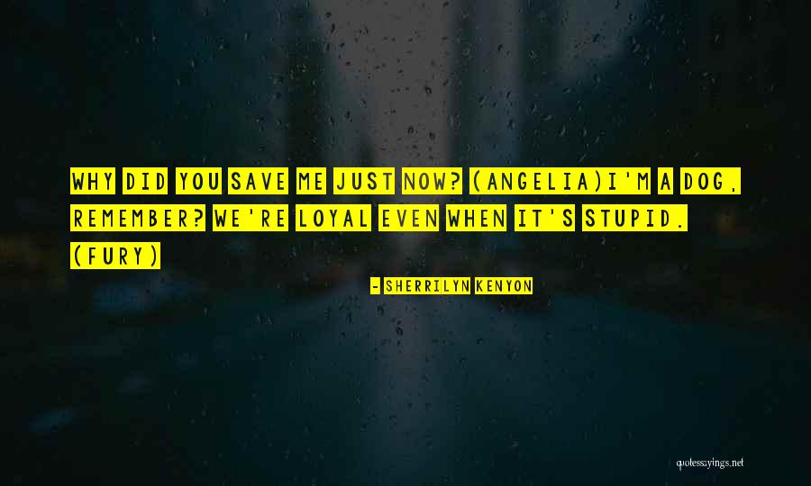 Dog Is Loyal Quotes By Sherrilyn Kenyon Dog Is Loyal Quotes By Sherrilyn Kenyon