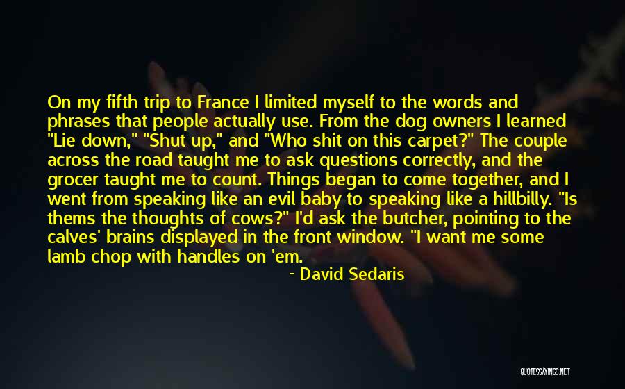 Dog Is My Baby Quotes By David Sedaris